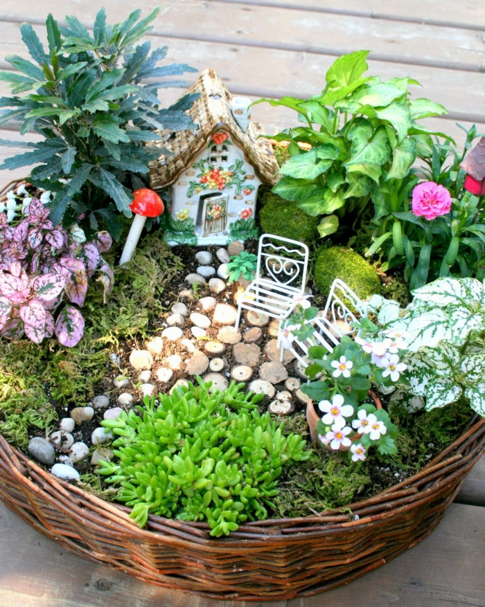 цветя растения идеи снимки малка градина в кошница мода зелени растения гъби къща