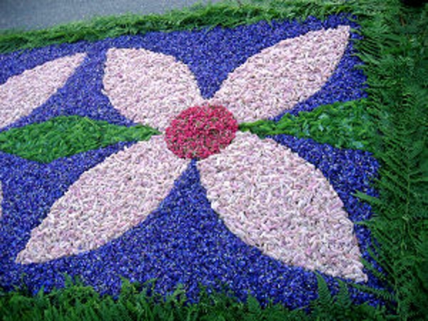 γλάστρα-για-Fronleichnam λουλούδια εικόνα