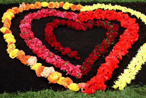 Флорален килим за сърцата на Корпус Кристи, един в друг - черен фон