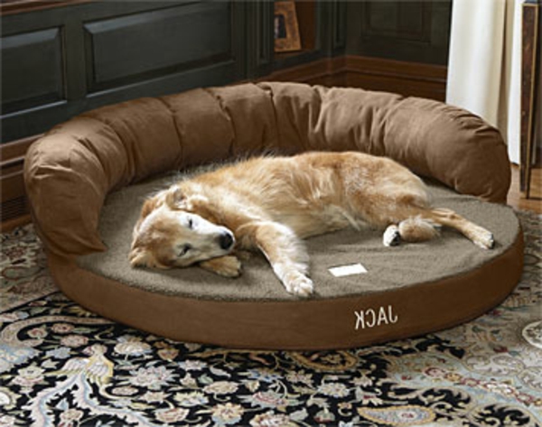 brown-orthopedic-dog-bed-xxl - un perro se ha quedado dormido
