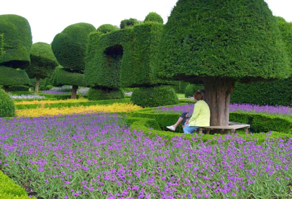 Буксбаум моделиран-историческо-Topiary-градина-юг-Cumbria