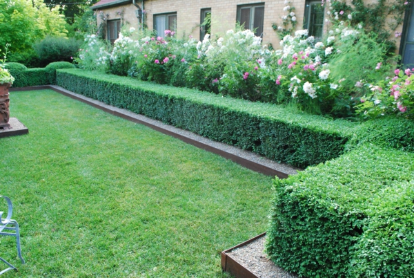 Буксбаум моделиран квадратни градина