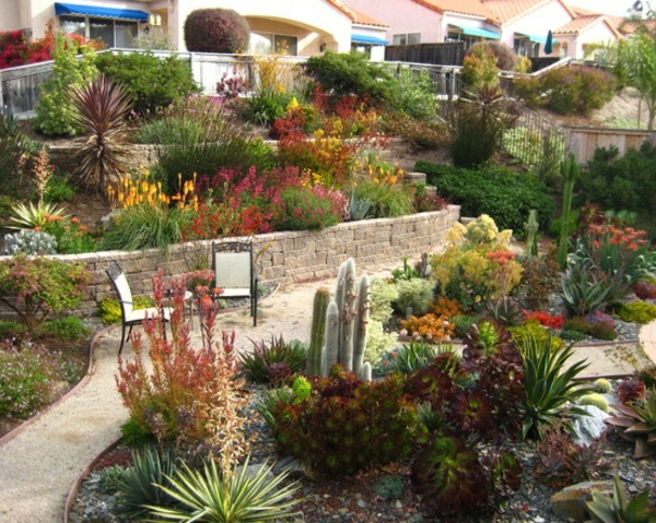 színes növény-in-mediterrán kertészeti kő
