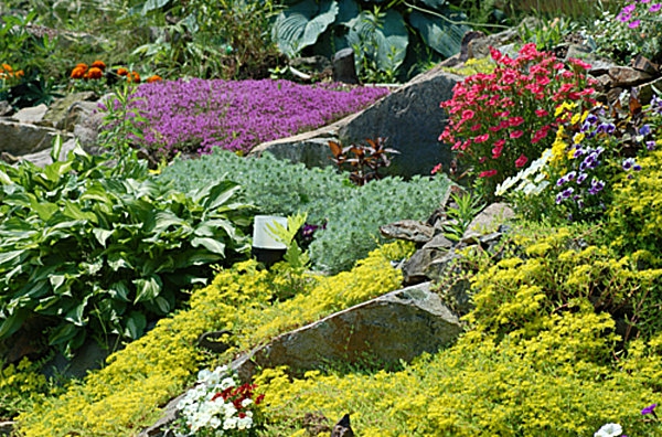 coloridas flores y piedras para diseño de jardín