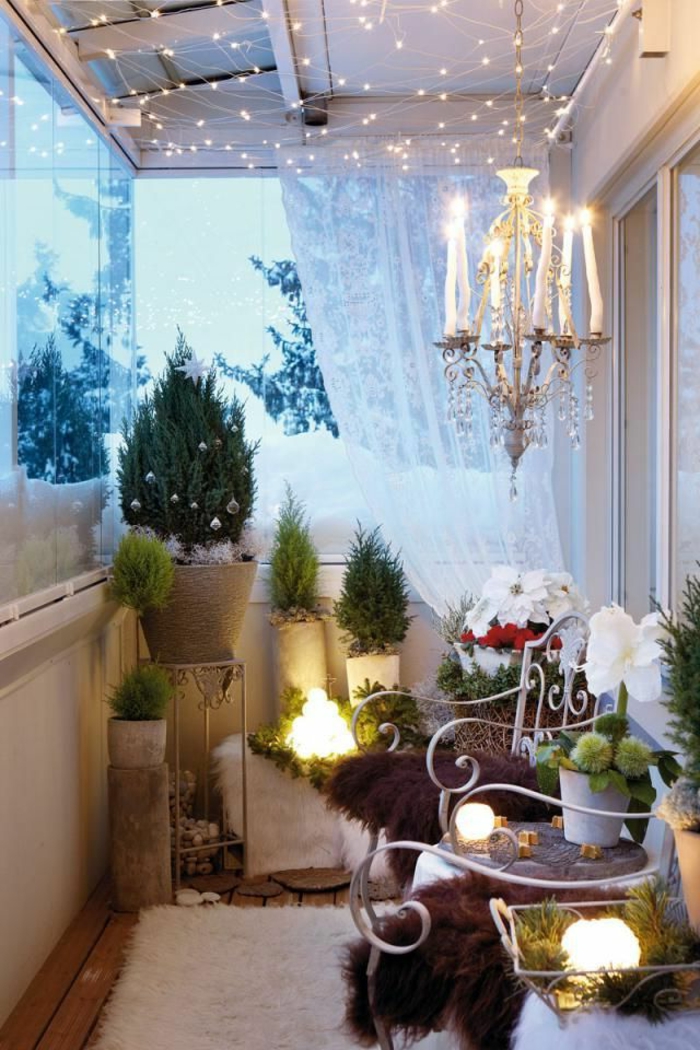 Готини Зимни декоративни саксийни цветя балкон