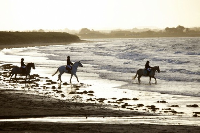 δροσερό-φωτογραφία-της-θάλασσας-τριών ανδρών ιππασίας άλογο