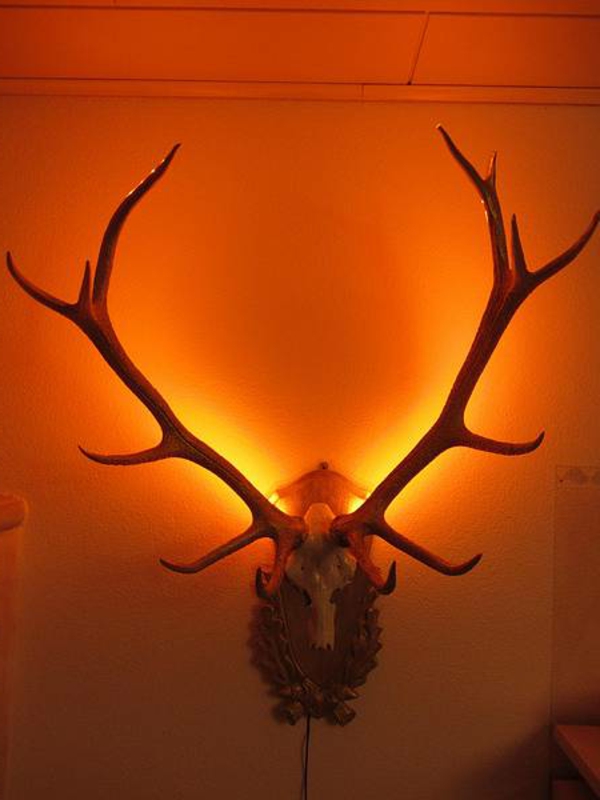 deco-rog jelena-svjetiljka