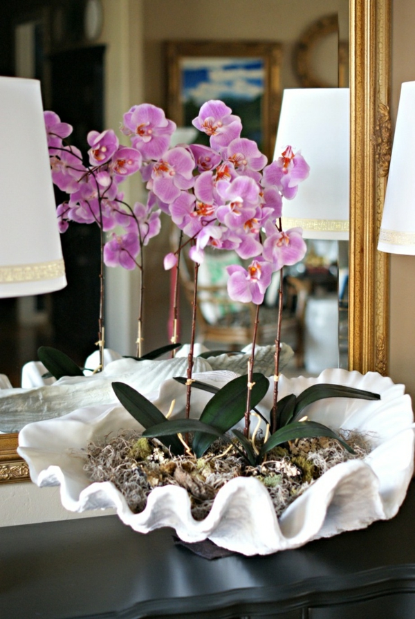 deco-orkidea - mielenkiintoinen kukkaruukku - peilin edessä