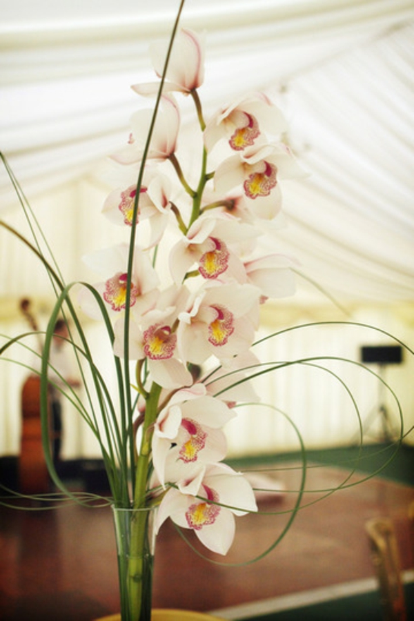 Koristeltu orkideoilla - luovasti suunniteltu - suuri salissa