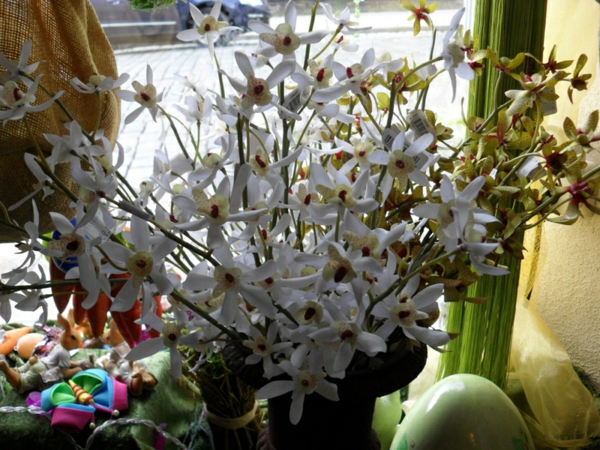deco-orhide-pored-prozora-fotografija snimljena iz blizine