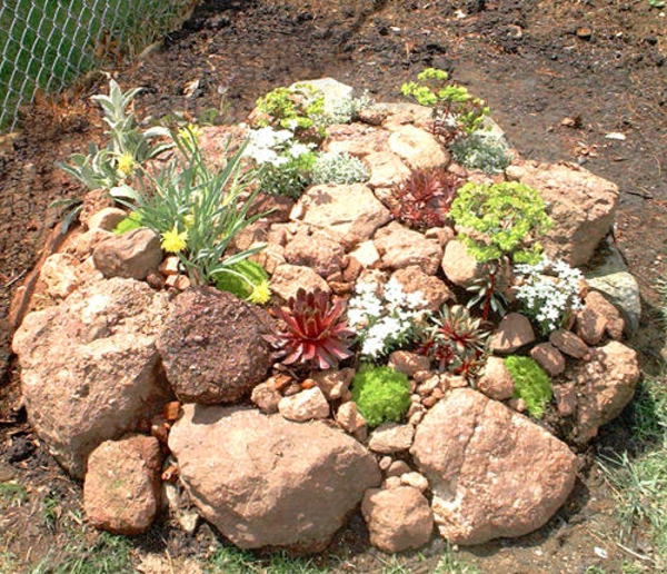 Decoración de piedra con pequeñas plantas en el jardín