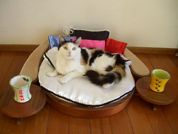 дизайнерски мебели котка собствена стая