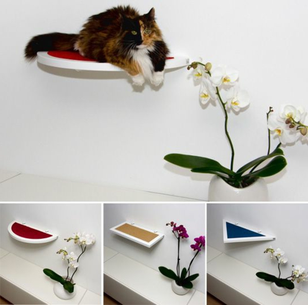 дизайнерски мебели котка къща пантери