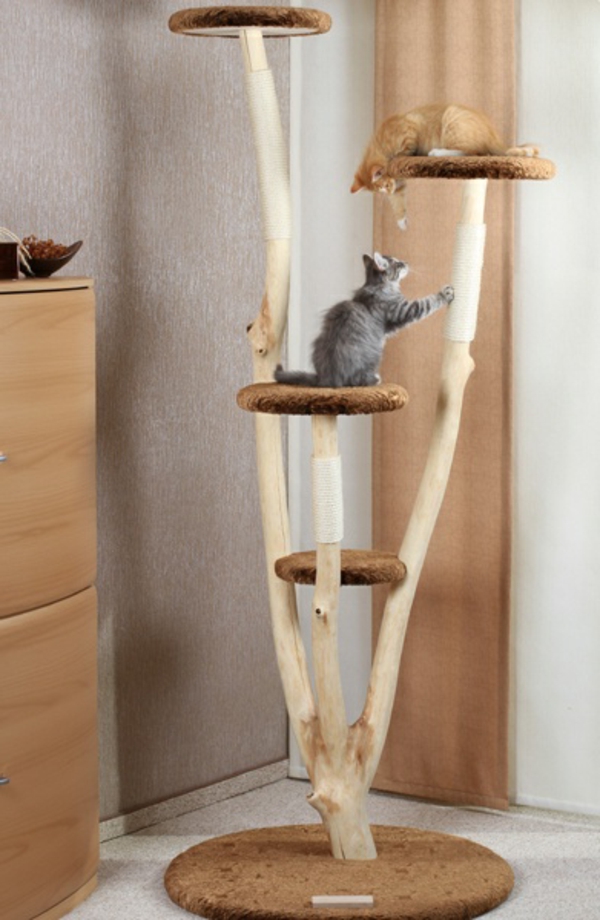 дизайнерски мебели котка rarissima