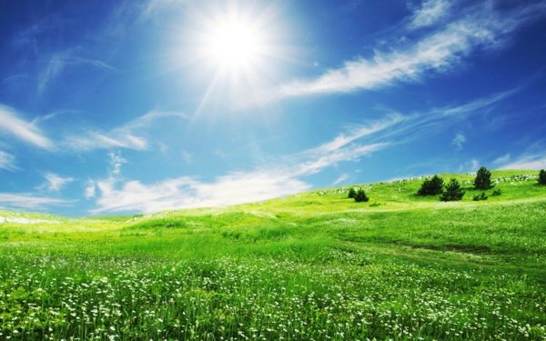 фон на работния плот-пролет-трева посочи излагане на слънце