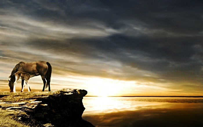 the-eniten hevosen maailmanympärimatkaa-ainutlaatuinen-auringonlasku valokuva