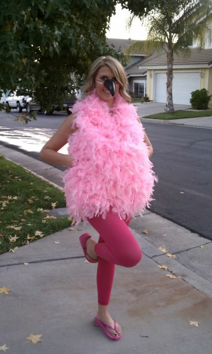 нелепо костюм в розов цвят - карнавален костюм идеи, за да направите своя собствена
