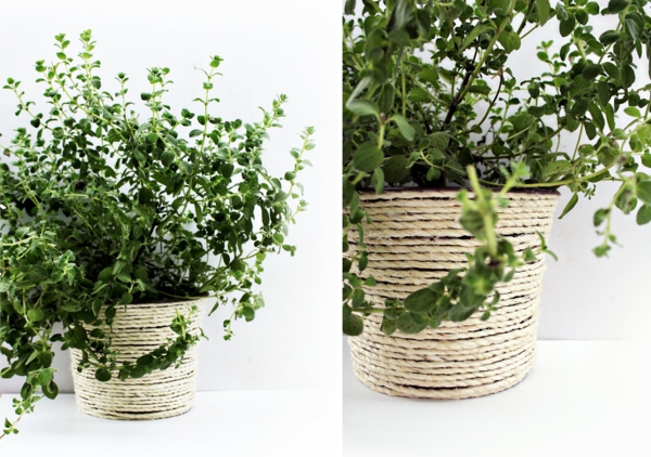 faites-le vous-même idées pots de fleurs - plante en vert