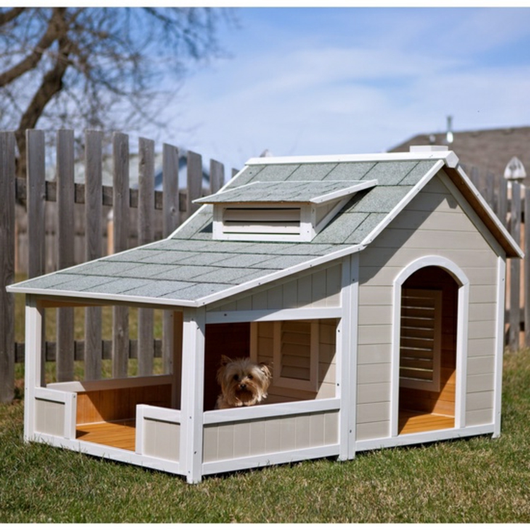 koira-house-puu-chic-jalo-eniten nykyajan yksinkertaisesti-with-veranta