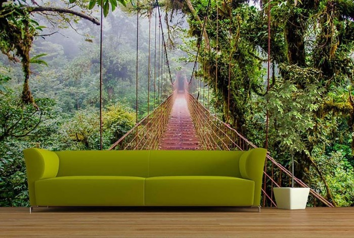 džungla-Brücke-Gruner-kauč-biljka-drvo katu i prirodna