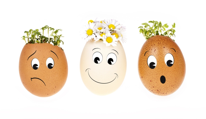 Оцветете забавните яйца и украсете с растения, различни изрази