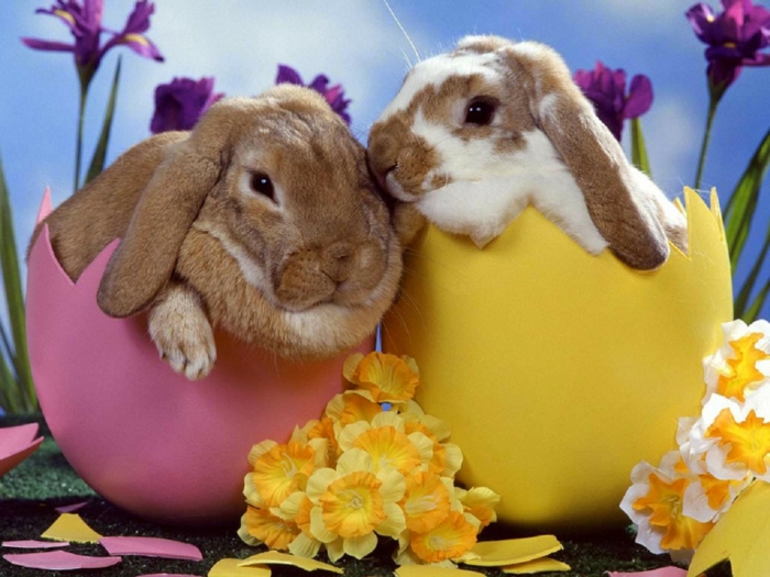 два Великденски зайчета, излюпени от великолепните яйца на Великден, така че сладката картина