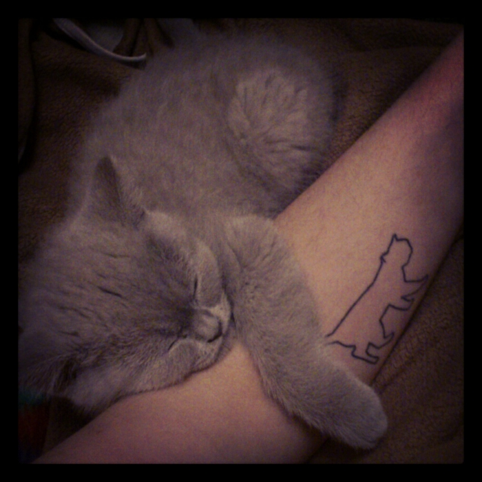 малка котка татуировка - тук е малка, сладка, сън, сива котка и ръка с малко черна котка татуировка
