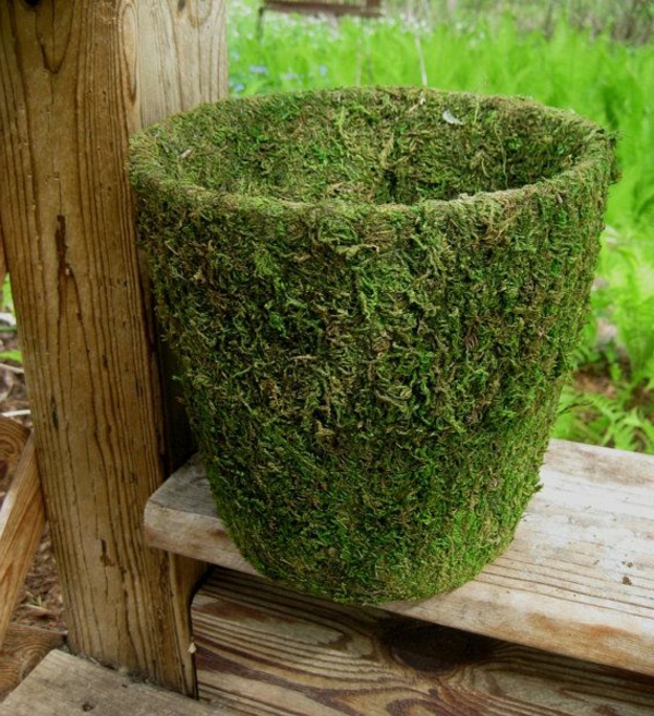 one-pot décorer avec Moss