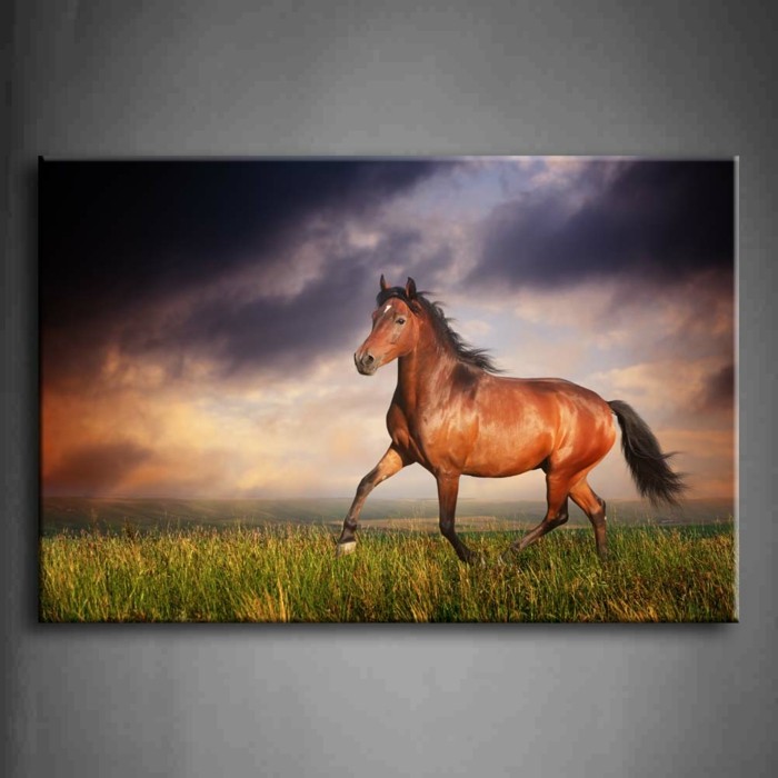 lijepa slika bijesnog konja na livadi