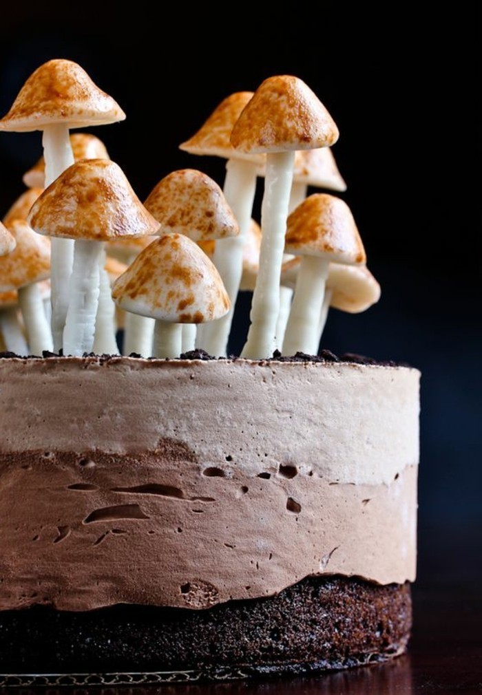 Jedinstvena čokoladna torta-sa-gljivama-of-šećera dekoracija