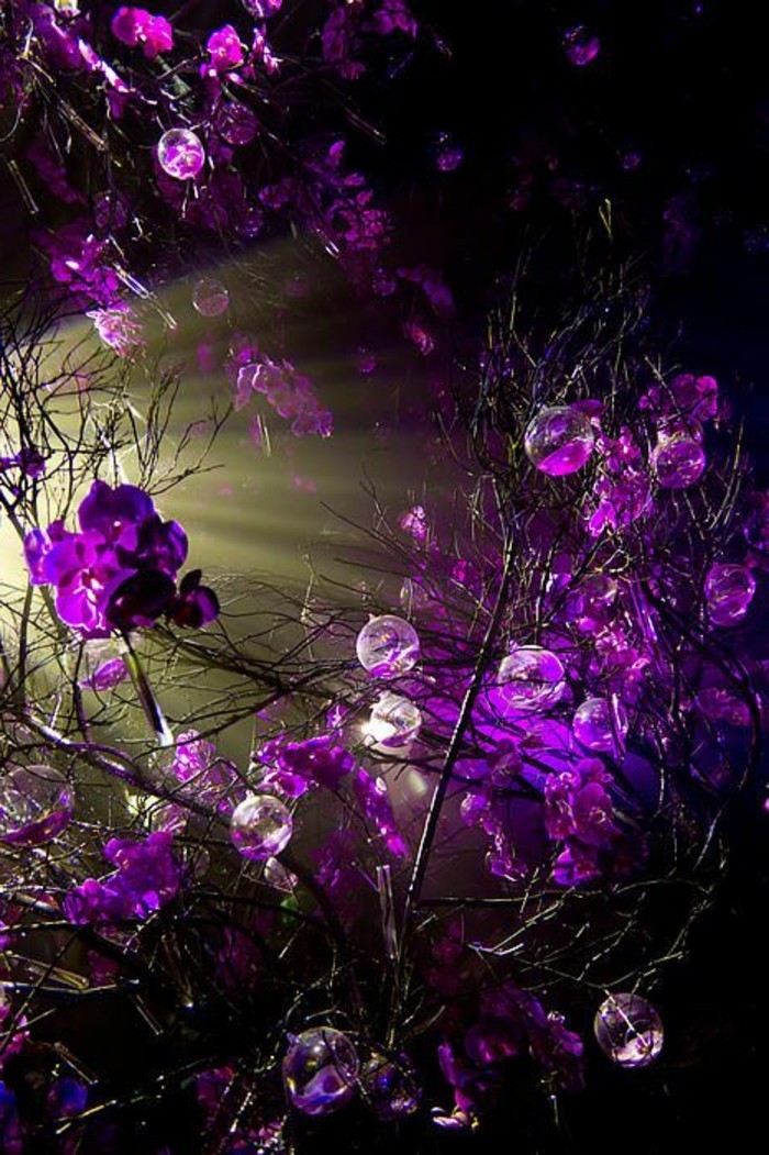 Уникална снимка на лилави цветя