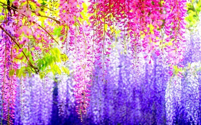 Fabuleux photo coloré fleur Pendentif