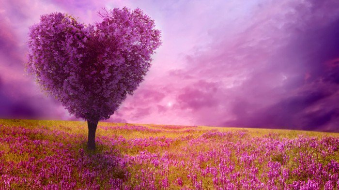 Fabulous Photo de-la-naturelle teint en violet