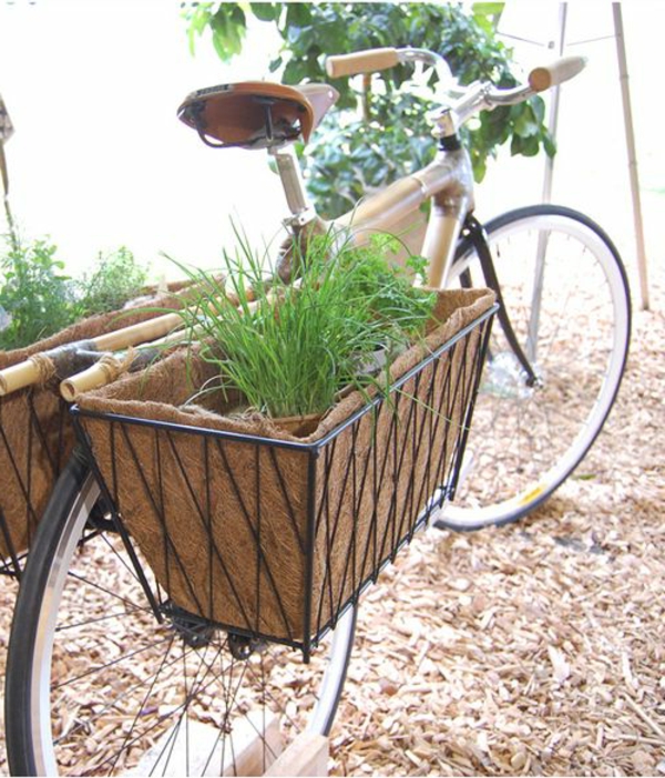велосипед кошница завод - декоративни растения в зелено