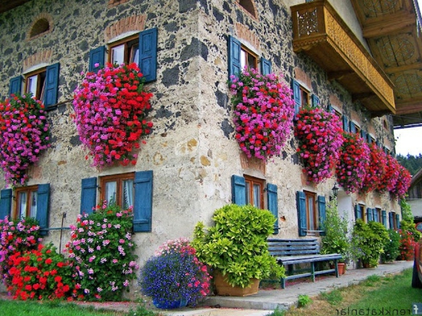 fantastiques - boîtes-pour-la-balcon-Fensterdeko fleurs