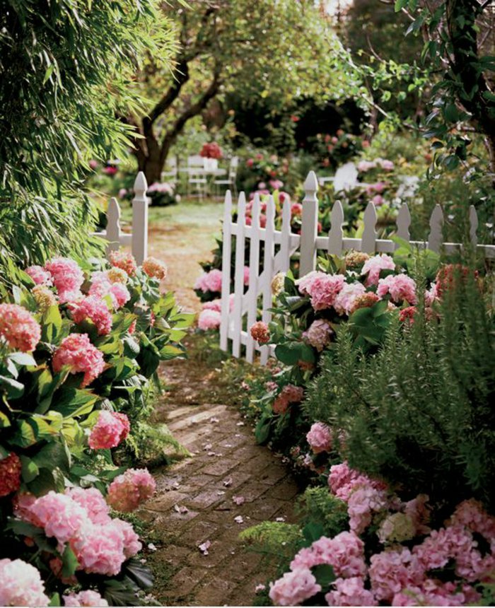 jardin fantastique plein d'hortensias