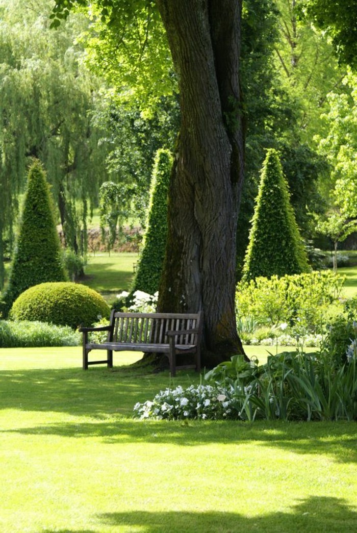 Fantástico verde del jardín Banco solo-bajo-la-árbol