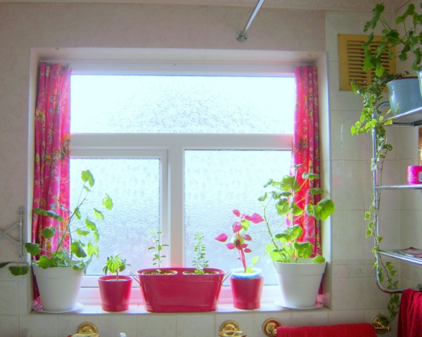 Прозорец с цикламни завеси и цветя в саксии