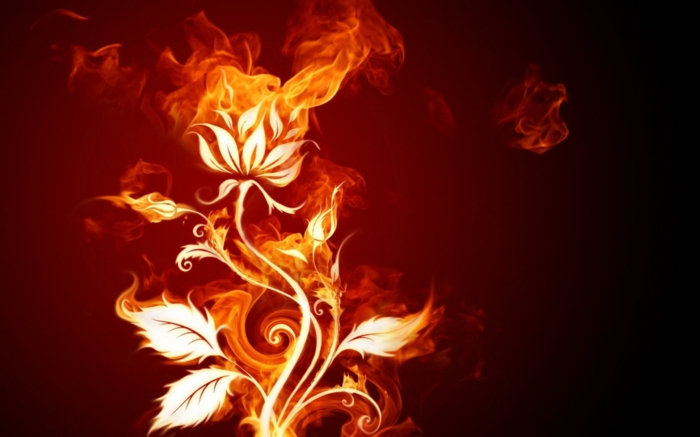 Tűz-tapéta-a-szép virág