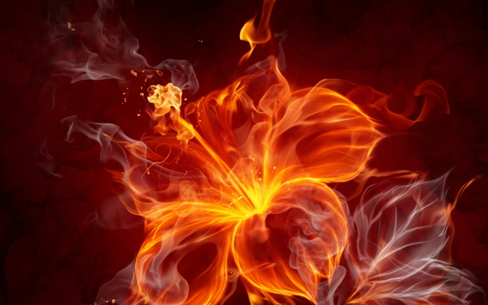 Tűz-tapéta-a-super-szép virág