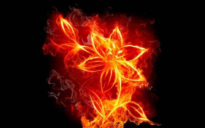 Tűz-tapéta-különleges virág