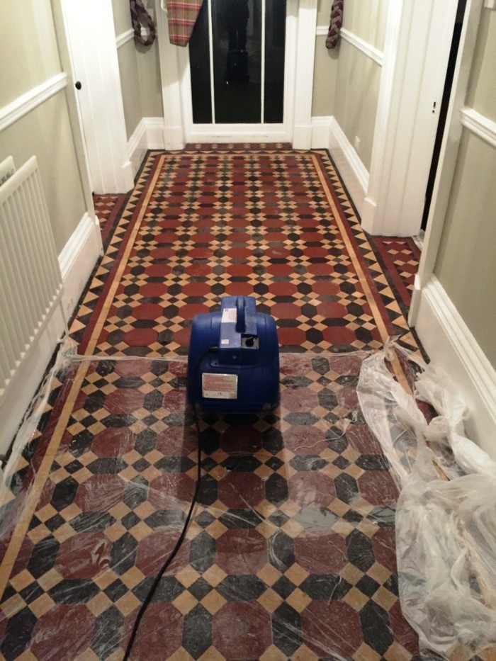 瓷砖功能于走廊上带有一个清洗