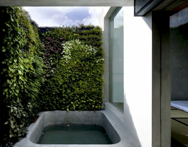 हरी पौधों की दीवार के बाहर स्नान के साथ घर