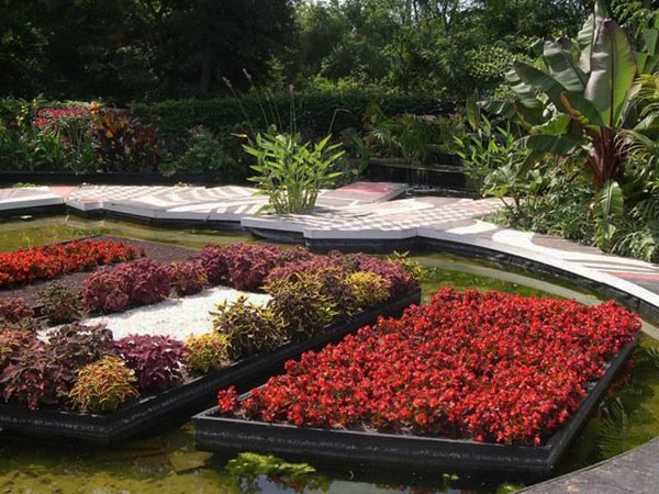 Цветни цветя и зелени растения в екзотичната градина