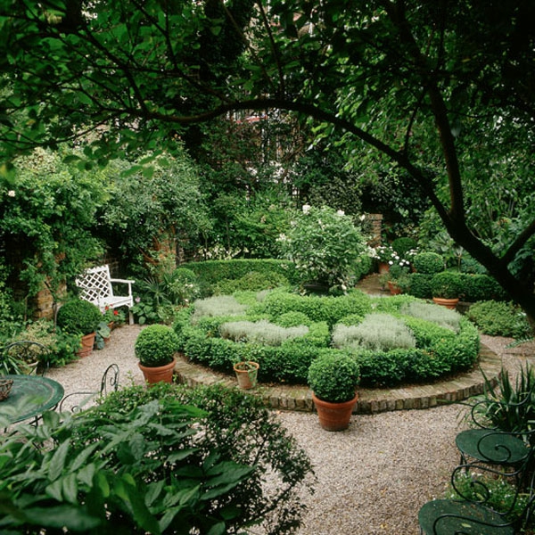 зелени красиви растения за вашата градина