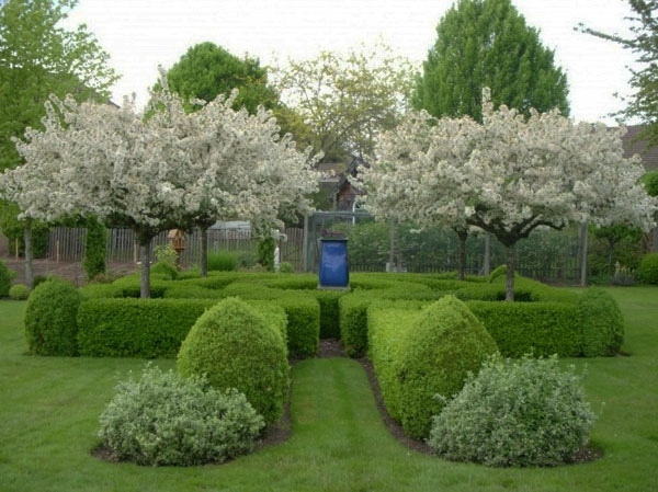 Двор с дървета с бели цветя