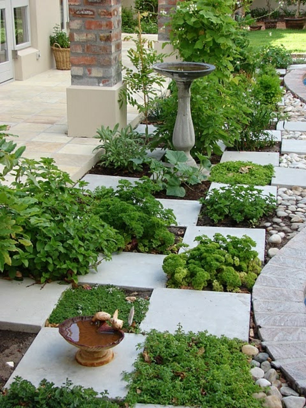 градина оформящи зелени растения и камък