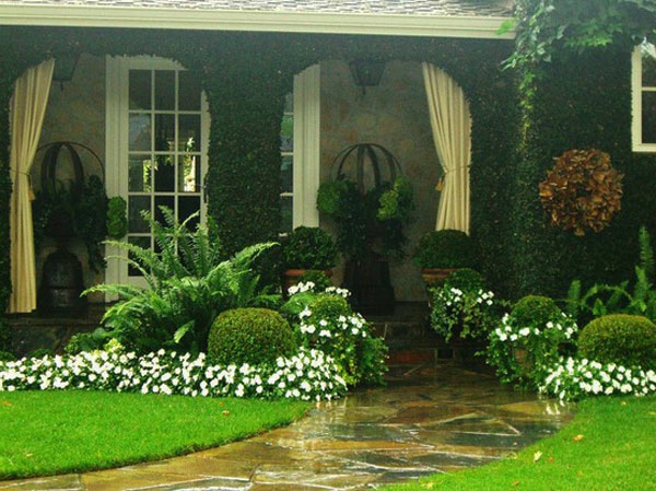 πράσινα φυτά με λευκά λουλούδια - αναδιαμορφώστε τον κήπο