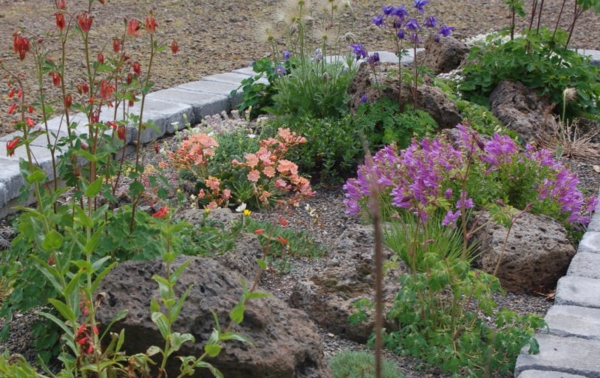 fleurs colorées et pierres pour un design de jardin moderne