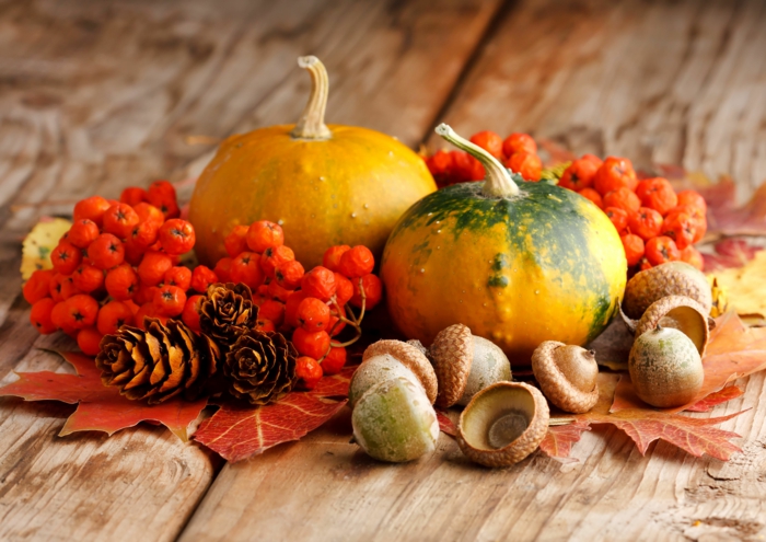 ترتيب عناصر الديكور الخريفي ، القرع ، الجوز ، والأقماع وأوراق الخريف ، زخرفة طاولة جميلة من قبل نفسك